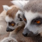 NIKON D7100 Marie PHOTOGRAPHY f/5.3 1/250sec ISO-200 116mm NIKON D7100 Marie PHOTOGRAPHY f/5.3 1/250sec ISO-200 116mm