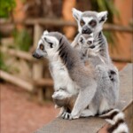 NIKON D7100 Marie PHOTOGRAPHY f/5 1/320sec ISO-200 95mm NIKON D7100 Marie PHOTOGRAPHY f/5 1/320sec ISO-200 95mm