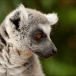 NIKON D7100 Marie PHOTOGRAPHY f/6 1/320sec ISO-280 210mm NIKON D7100 Marie PHOTOGRAPHY f/6 1/320sec ISO-280 210mm