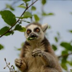 NIKON D7100 Marie PHOTOGRAPHY f/6 1/640sec ISO-200 240mm NIKON D7100 Marie PHOTOGRAPHY f/6 1/640sec ISO-200 240mm