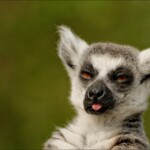 NIKON D7100 Marie PHOTOGRAPHY f/6.3 1/800sec ISO-400 500mm NIKON D7100 Marie PHOTOGRAPHY f/6.3 1/800sec ISO-400 500mm