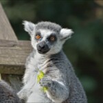 NIKON D7100 Marie PHOTOGRAPHY f/6.3 1/2500sec ISO-800 380mm NIKON D7100 Marie PHOTOGRAPHY f/6.3 1/2500sec ISO-800 380mm