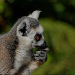 NIKON D7100 Marie PHOTOGRAPHY f/6.3 1/4000sec ISO-400 500mm NIKON D7100 Marie PHOTOGRAPHY f/6.3 1/4000sec ISO-400 500mm