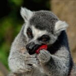 NIKON D7100 Marie PHOTOGRAPHY f/6.3 1/4000sec ISO-400 500mm NIKON D7100 Marie PHOTOGRAPHY f/6.3 1/4000sec ISO-400 500mm