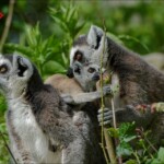 NIKON D7100 Marie PHOTOGRAPHY f/6.3 1/2000sec ISO-800 290mm NIKON D7100 Marie PHOTOGRAPHY f/6.3 1/2000sec ISO-800 290mm