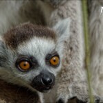 NIKON D7100 Marie PHOTOGRAPHY f/6.3 1/4000sec ISO-800 500mm NIKON D7100 Marie PHOTOGRAPHY f/6.3 1/4000sec ISO-800 500mm