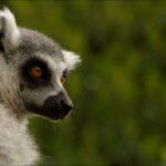 NIKON D7100 Marie PHOTOGRAPHY f/10 1/250sec ISO-400 170mm NIKON D7100 Marie PHOTOGRAPHY f/10 1/250sec ISO-400 170mm