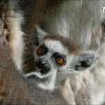 NIKON D7100 Marie PHOTOGRAPHY f/6.3 1/4000sec ISO-800 420mm NIKON D7100 Marie PHOTOGRAPHY f/6.3 1/4000sec ISO-800 420mm