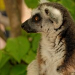 NIKON D7100 Marie PHOTOGRAPHY f/5.3 1/400sec ISO-200 116mm NIKON D7100 Marie PHOTOGRAPHY f/5.3 1/400sec ISO-200 116mm