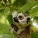 NIKON D7100 Marie PHOTOGRAPHY f/5 1/400sec ISO-200 50mm NIKON D7100 Marie PHOTOGRAPHY f/5 1/400sec ISO-200 50mm