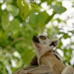 NIKON D7100 Marie PHOTOGRAPHY f/5 1/400sec ISO-200 65mm NIKON D7100 Marie PHOTOGRAPHY f/5 1/400sec ISO-200 65mm