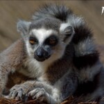 NIKON D7100 Marie PHOTOGRAPHY f/8 1/3200sec ISO-800 190mm NIKON D7100 Marie PHOTOGRAPHY f/8 1/3200sec ISO-800 190mm