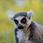 NIKON D7100 Marie PHOTOGRAPHY f/4.8 1/400sec ISO-400 155mm NIKON D7100 Marie PHOTOGRAPHY f/4.8 1/400sec ISO-400 155mm