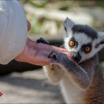 NIKON D7100 Marie PHOTOGRAPHY f/4 1/500sec ISO-100 85mm NIKON D7100 Marie PHOTOGRAPHY f/4 1/500sec ISO-100 85mm