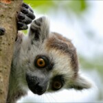 NIKON D7100 Marie PHOTOGRAPHY f/6.3 1/500sec ISO-320 340mm NIKON D7100 Marie PHOTOGRAPHY f/6.3 1/500sec ISO-320 340mm