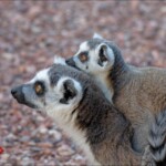 NIKON D7100 Marie PHOTOGRAPHY f/4.5 1/400sec ISO-400 130mm NIKON D7100 Marie PHOTOGRAPHY f/4.5 1/400sec ISO-400 130mm