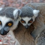 NIKON D7100 Marie PHOTOGRAPHY f/6.3 1/160sec ISO-400 155mm NIKON D7100 Marie PHOTOGRAPHY f/6.3 1/160sec ISO-400 155mm