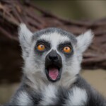 NIKON D7100 Marie PHOTOGRAPHY f/6.3 1/250sec ISO-400 380mm NIKON D7100 Marie PHOTOGRAPHY f/6.3 1/250sec ISO-400 380mm