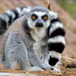 NIKON D7100 Marie PHOTOGRAPHY f/5.6 1/200sec ISO-400 170mm NIKON D7100 Marie PHOTOGRAPHY f/5.6 1/200sec ISO-400 170mm