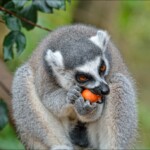 NIKON D7100 Marie PHOTOGRAPHY f/6 1/100sec ISO-400 210mm NIKON D7100 Marie PHOTOGRAPHY f/6 1/100sec ISO-400 210mm