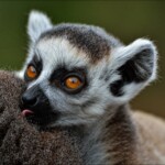 NIKON D7100 Marie PHOTOGRAPHY f/6.3 1/640sec ISO-560 380mm NIKON D7100 Marie PHOTOGRAPHY f/6.3 1/640sec ISO-560 380mm