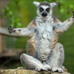 NIKON D7100 Marie PHOTOGRAPHY f/6 1/2500sec ISO-200 240mm NIKON D7100 Marie PHOTOGRAPHY f/6 1/2500sec ISO-200 240mm