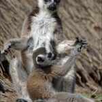 NIKON D7100 Marie PHOTOGRAPHY f/5.6 1/4000sec ISO-400 270mm NIKON D7100 Marie PHOTOGRAPHY f/5.6 1/4000sec ISO-400 270mm