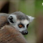 NIKON D7100 Marie PHOTOGRAPHY f/5 1/2500sec ISO-400 170mm NIKON D7100 Marie PHOTOGRAPHY f/5 1/2500sec ISO-400 170mm