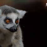 NIKON D7100 Marie PHOTOGRAPHY f/5.6 1/2500sec ISO-400 240mm NIKON D7100 Marie PHOTOGRAPHY f/5.6 1/2500sec ISO-400 240mm