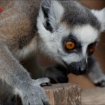 NIKON D7100 Marie PHOTOGRAPHY f/5 1/3200sec ISO-400 175mm NIKON D7100 Marie PHOTOGRAPHY f/5 1/3200sec ISO-400 175mm