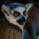 NIKON D7100 Marie PHOTOGRAPHY f/5.6 1/200sec ISO-800 300mm NIKON D7100 Marie PHOTOGRAPHY f/5.6 1/200sec ISO-800 300mm