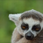 NIKON D7100 Marie PHOTOGRAPHY f/10 1/640sec ISO-800 170mm NIKON D7100 Marie PHOTOGRAPHY f/10 1/640sec ISO-800 170mm