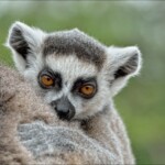 NIKON D7100 Marie PHOTOGRAPHY f/10 1/500sec ISO-800 170mm NIKON D7100 Marie PHOTOGRAPHY f/10 1/500sec ISO-800 170mm