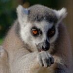 NIKON D7100 Marie PHOTOGRAPHY f/6.3 1/1600sec ISO-400 290mm NIKON D7100 Marie PHOTOGRAPHY f/6.3 1/1600sec ISO-400 290mm