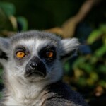 NIKON D7100 Marie PHOTOGRAPHY f/6.3 1/1250sec ISO-400 380mm NIKON D7100 Marie PHOTOGRAPHY f/6.3 1/1250sec ISO-400 380mm