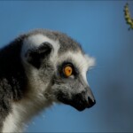 NIKON D7100 Marie PHOTOGRAPHY f/6.3 1/1600sec ISO-400 460mm NIKON D7100 Marie PHOTOGRAPHY f/6.3 1/1600sec ISO-400 460mm