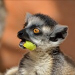 NIKON D7100 Marie PHOTOGRAPHY f/6.3 1/3200sec ISO-1000 460mm NIKON D7100 Marie PHOTOGRAPHY f/6.3 1/3200sec ISO-1000 460mm