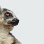 NIKON D7100 Marie PHOTOGRAPHY f/4.5 1/8000sec ISO-400 50mm NIKON D7100 Marie PHOTOGRAPHY f/4.5 1/8000sec ISO-400 50mm