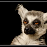 NIKON D7100 Marie PHOTOGRAPHY f/6 1/640sec ISO-200 240mm NIKON D7100 Marie PHOTOGRAPHY f/6 1/640sec ISO-200 240mm