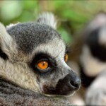 NIKON D7100 Marie PHOTOGRAPHY f/6.3 1/500sec ISO-800 240mm NIKON D7100 Marie PHOTOGRAPHY f/6.3 1/500sec ISO-800 240mm